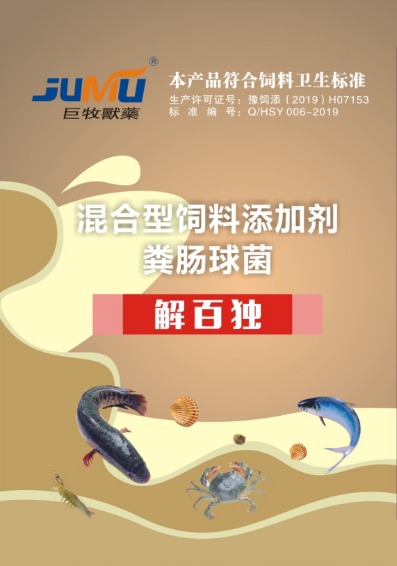 解百独1