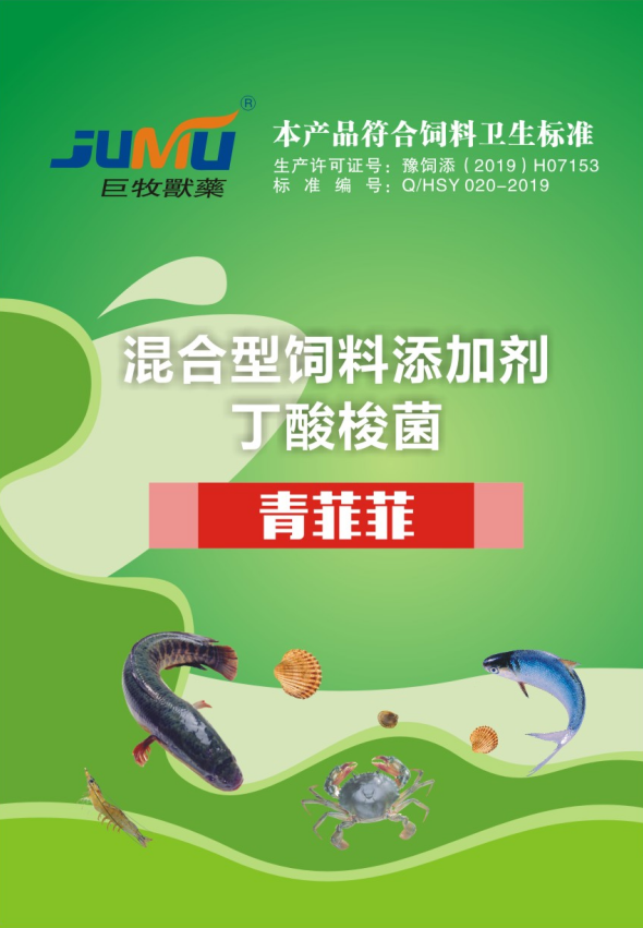 青菲菲1 青菲菲1