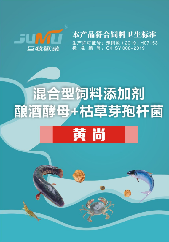 黄尚1